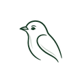 Vögel